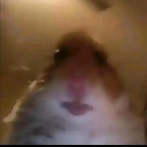 Meet your Posher, Colton